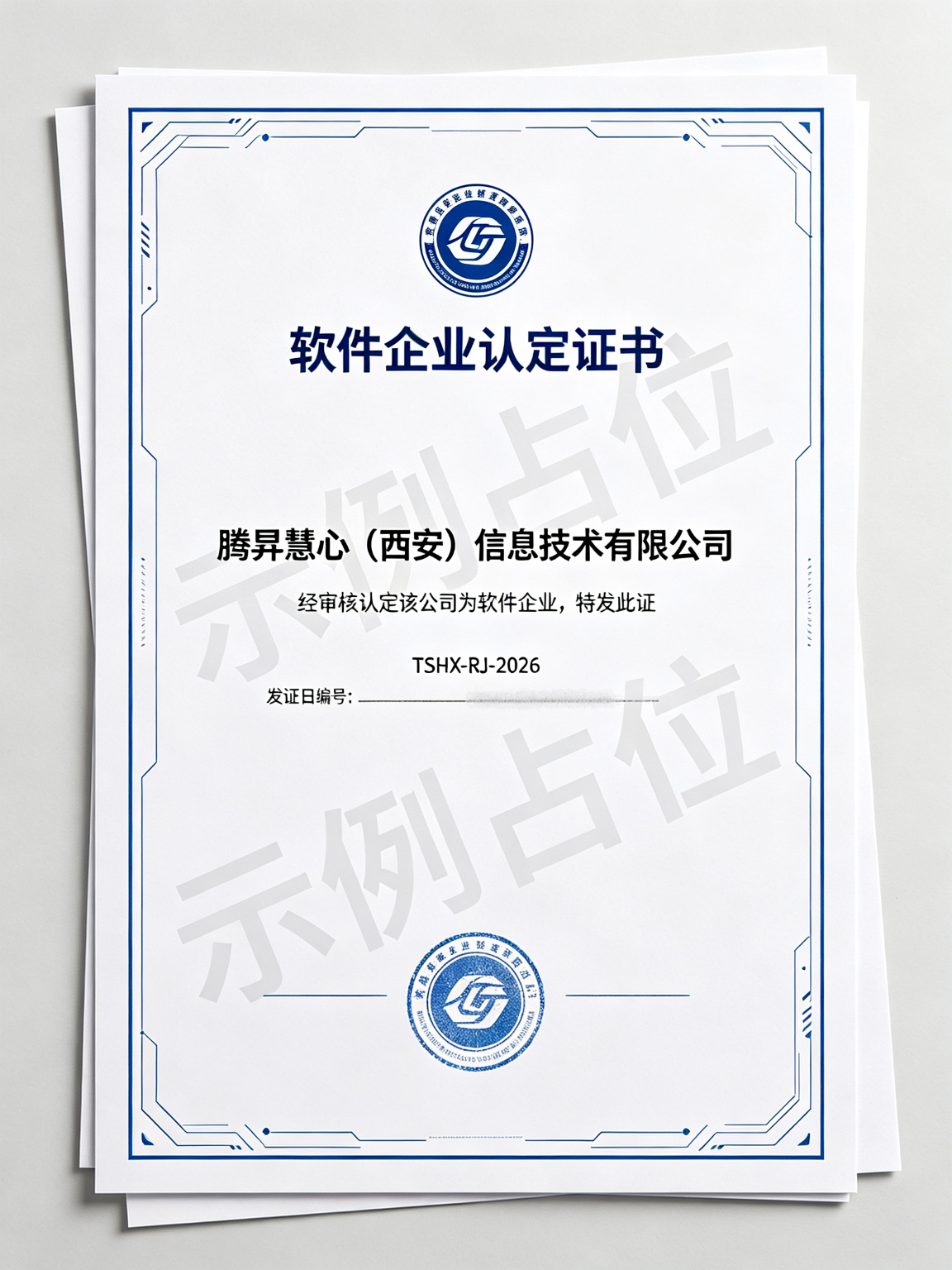 软件企业认定证书